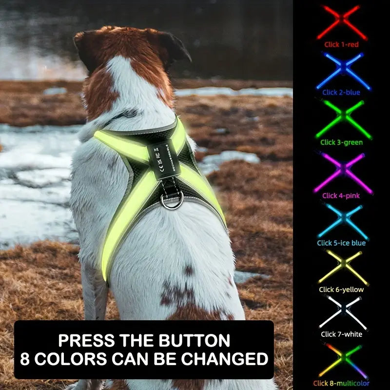 LED Dog Harness – 8 Colors, USB Rechargeable