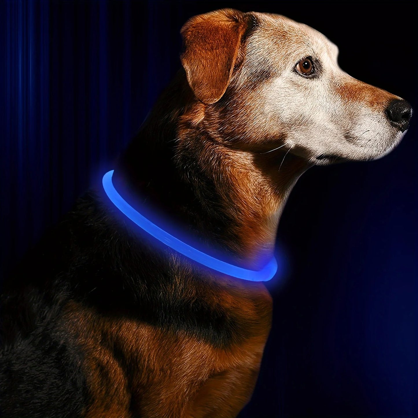 GlowPaw™ LED Rechargeable Anti-Lost Dog Collar