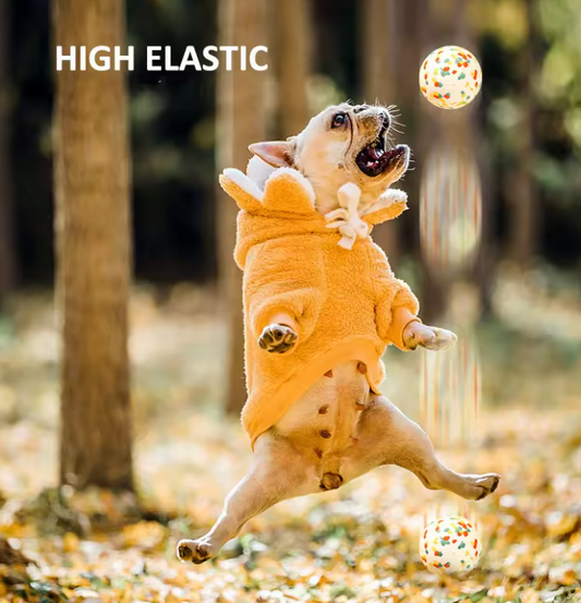 Chew-Resistant Dog Ball – Elastic Rubber Toy for Active Dogs