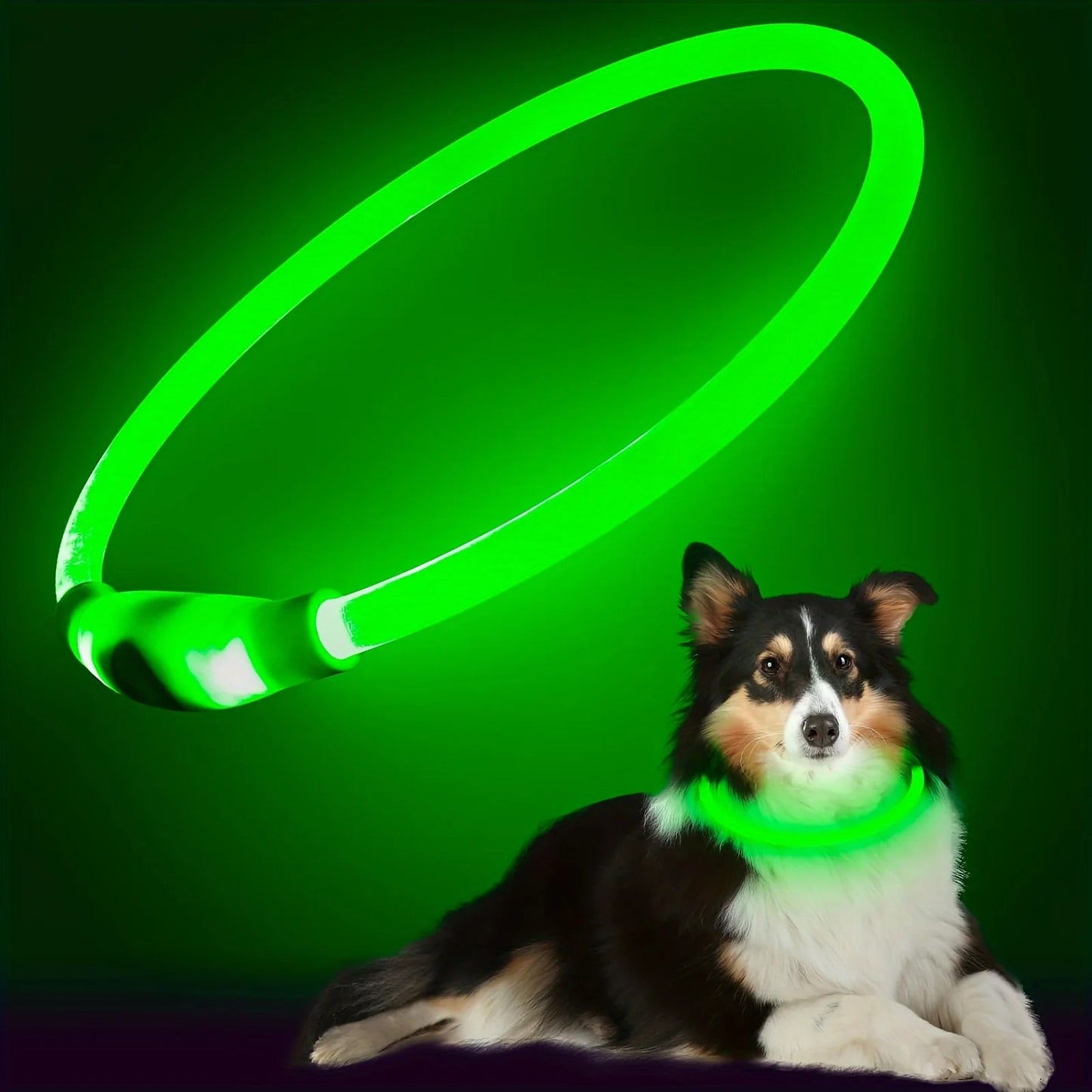 GlowPaw™ LED Rechargeable Anti-Lost Dog Collar